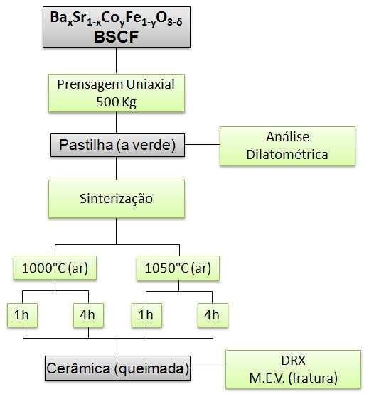 fraturadas foram analisadas por M.E.V. para observação do tamanho e distribuição dos poros após a sinterização.