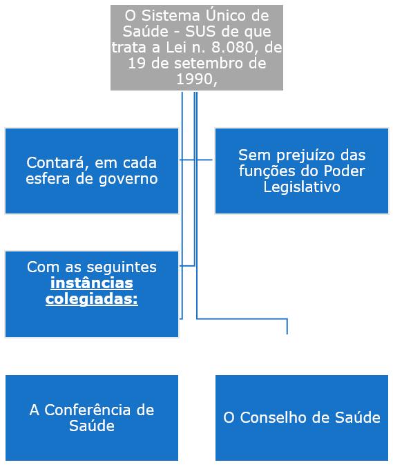 Instâncias Colegiadas 1º - A Conferência de Saúde reunir-se-á cada 4 anos com a representação dos vários segmentos sociais, para avaliar a situação de saúde e propor as diretrizes para a formulação