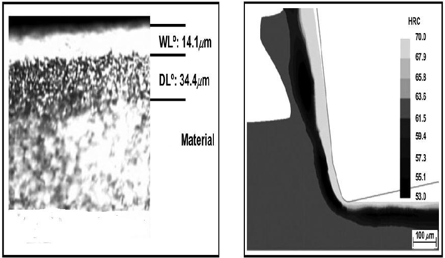 42 Segundo Umbrello e Felice (2009), um estudo que previa a formação de camada branca durante a usinagem de aço endurecido AISI 52100 com uma dureza de 56, 62 e 66 HRC produziu excelentes resultados