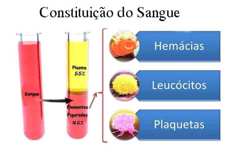 - Com o movimento de rotação da centrífuga, o sangue é separado em camadas.