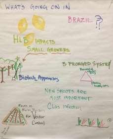 Até agora? Brasil Inspeção, erradicação, controle vetor Estratégias em biotecnologia Controle de borda e vizinhos Fluxos vegetativos e infecção pelo vetor Impactos pequenos produtores Até agora?