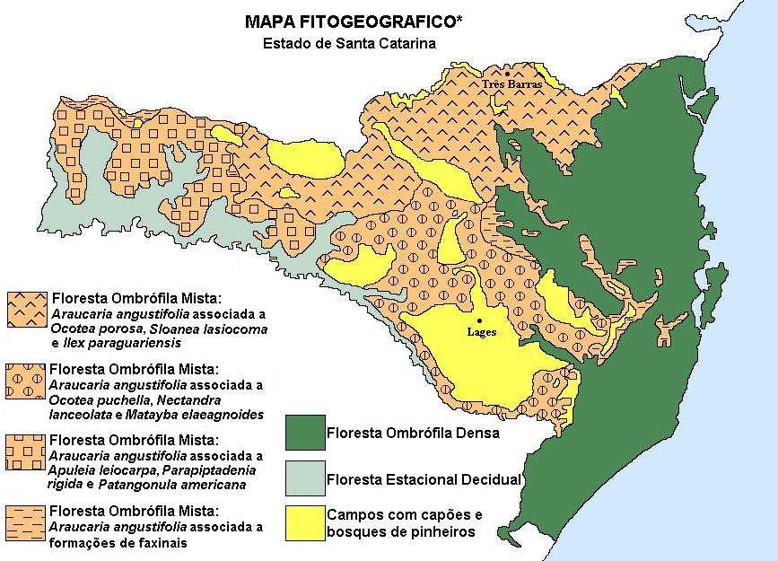 Figura 9: Mapa da Vegetação de Santa Catarina Fonte: Atlas de Santa Catarina (1991) Esta floresta também é conhecida como mata da araucária ou pinheiral, e é um tipo de vegetação do Planalto