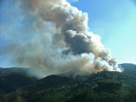 98% dos incêndios são causados pelo