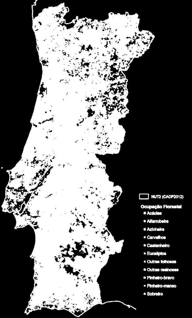 Ocupação florestal