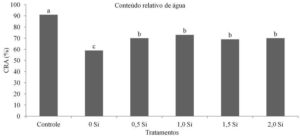 244 Souza et al.