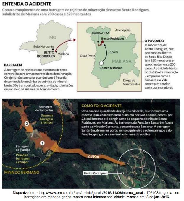 c) A floresta amazônica é uma região cuja vegetação é característica de ambientes costeiros, com predominância de cactáceas.