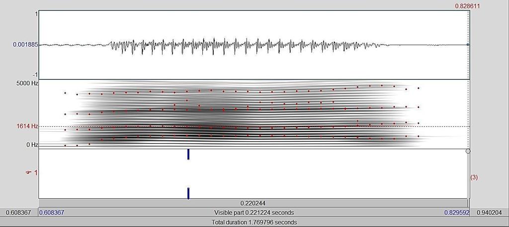 Figura 21 Exemplo de um espectrograma de banda estreita