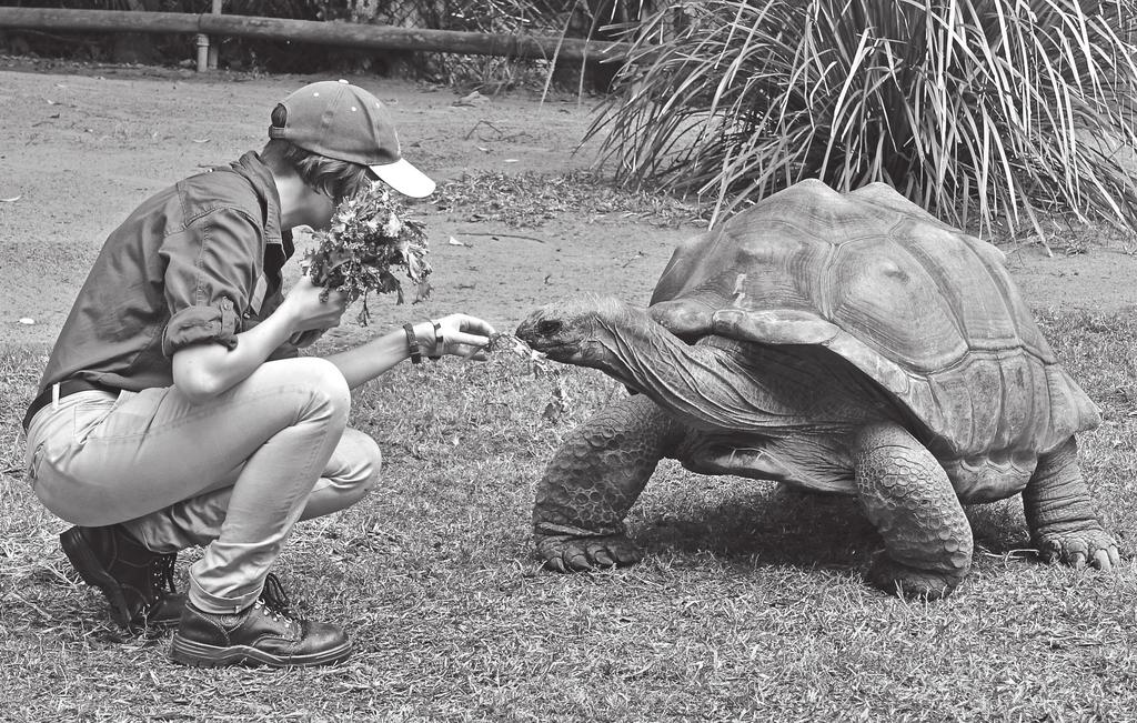 sobrevivência de alguns animais selvagens está ameaçada e, em certos casos,