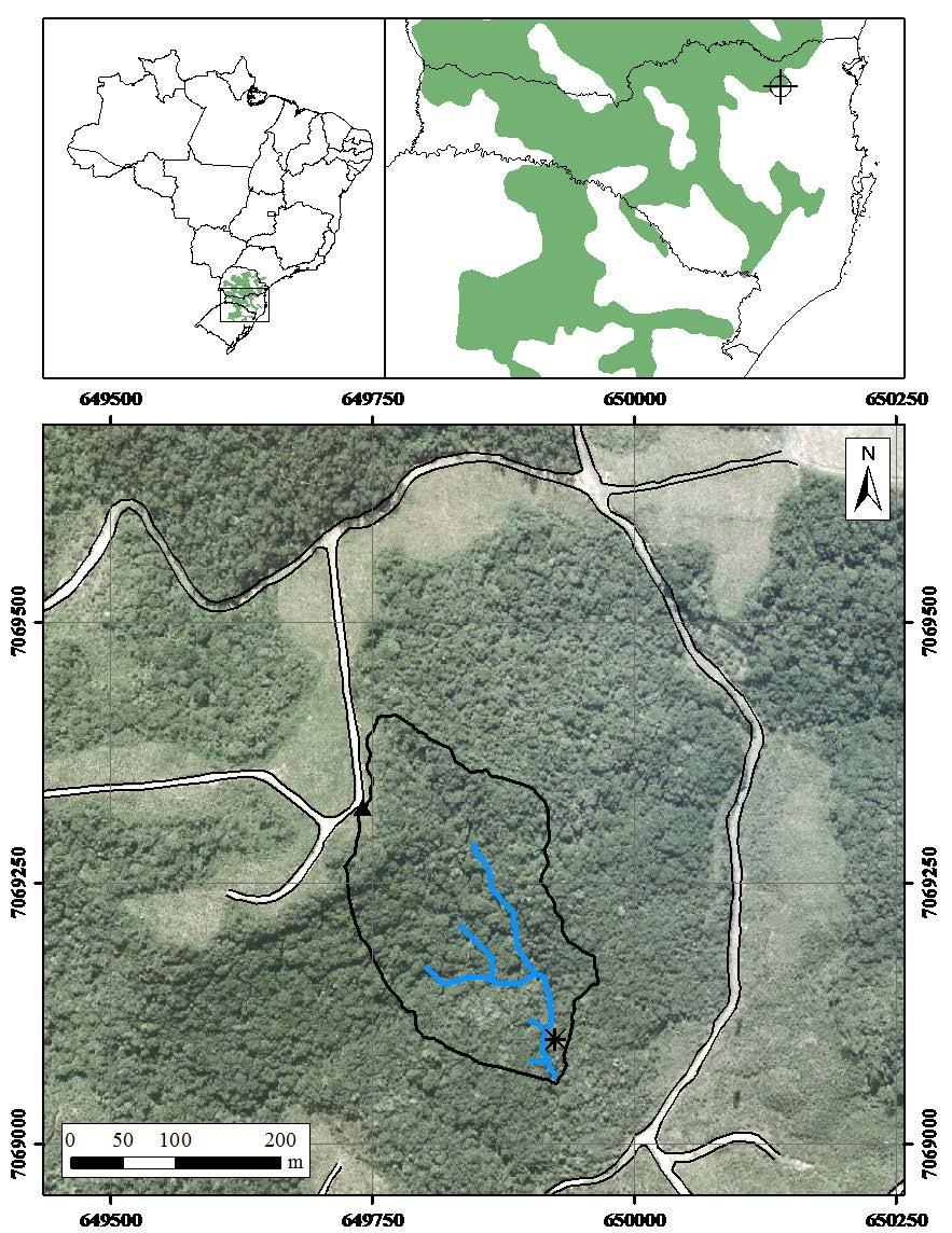 ÁREA DE ESTUDO MATERIAIS E MÉTODOS Bacia experimental do rio Araponga 5,3 ha Floresta nativa Coberta por Floresta Ombrófila Mista Dados monitorados