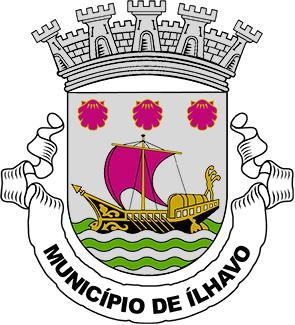 REGULAMENTO DE INVENTÁRIO E CADASTRO DO PATRIMÓNIO MUNICIPAL DA CÂMARA MUNICIPAL DE ÍLHAVO Preâmbulo... 4 CAPÍTULO I PRINCÍPIOS GERAIS... 5 Artigo 1.º Âmbito da aplicação... 5 Artigo 2.º Objetivos.