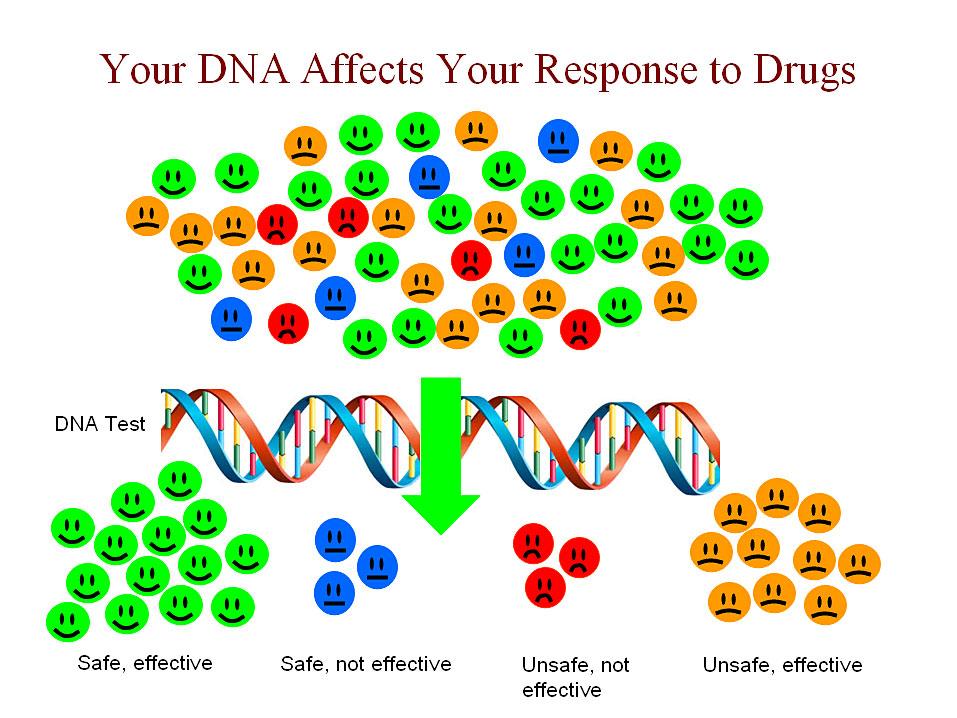Farmacogenética O DNA afeta a nossa resposta aos fármacos Seguro