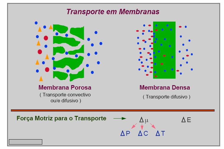 Capítulo II Revisão Bibliográfica 9 sejam empregados no preparo de cada região a membrana será do tipo anisotrópica composta (Habert, et al, 2006).