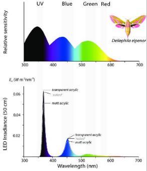 luz. Gasto energético desnecessário.