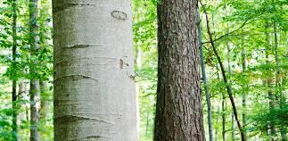 sustentabilidade; Prestação