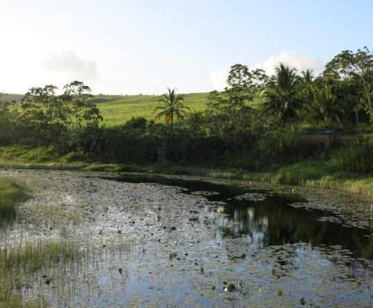 Para os encontros ocasionais foram realizadas visitas nos mesmos locais em período diurno