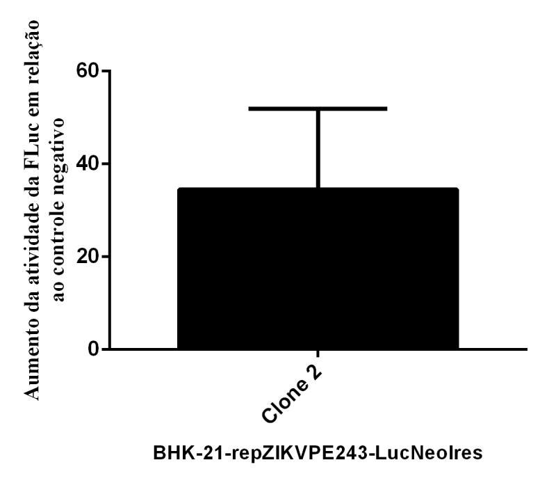 54 Figura 16 - Atividade da luciferase dos diferentes clones biológicos celulares expressando o repzikvpe243-lucneoires clone 2 A B Fonte: Da autora (2019).