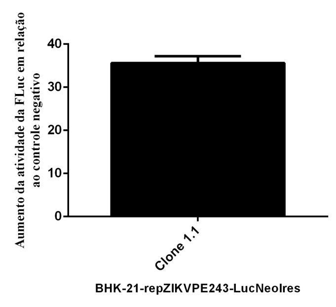 56 Figura 17 - Atividade da luciferase da linhagem celular BHK-21-repZIKVPE243-LucNeoIres clone 1.1 A B B Fonte: Da autora (2019).