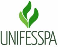 SERVIÇO PÚBLICO FEDERAL UNIVERSIDADE FEDERAL DO SUL E SUDESTE DO PARÁ PRÓ-REITORIA DE PÓS-GRADUAÇÃO, PESQUISA E INOVAÇÃO TECNOLÓGICA EDITAL 05/2019 PROPIT/UNIFESSPA PROGRAMA INSTITUCIONAL DE APOIO À