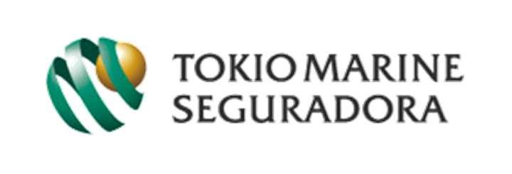 APRESENTAÇÃO - Apresentamos as Condições Gerais de seu Seguro de Vida em Grupo Faixa Etária, que estabelecem as formas de funcionamento das coberturas contratadas.