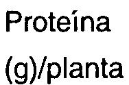 18,25 14,05 4,20 29,90 16,40 8,20 51,20 Proteína (g)/planta 0,98 1,14 0,16 14,00 0,48 0,50