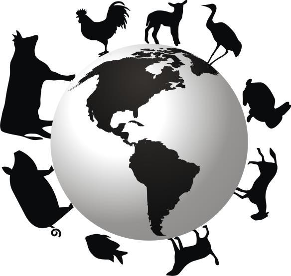 IV SIMPÓSIO DE PRODUÇÃO ANIMAL XII SEMANA DA ZOOTECNIA PERSPECTIVAS E SUSTENTABILIDADE NA PRODUÇÃO ANIMAL