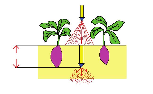 NOTA TÉCNICA Nº 34.