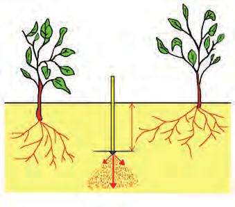 muito bem lavados com água limpa e soluções de produtos de limpeza, para se evitarem todas as corrosões possíveis e, de seguida, guardados sob coberto e em chão duro e seco. Por enterramento Fig 34.2.