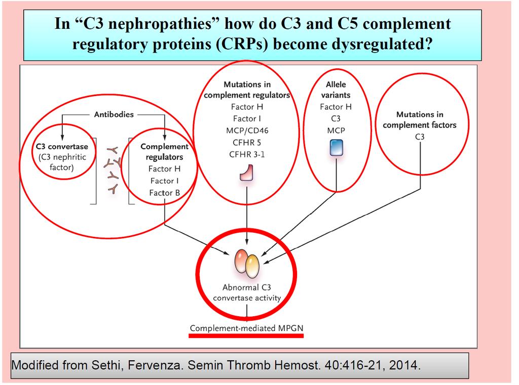 Couser WG Renal Course