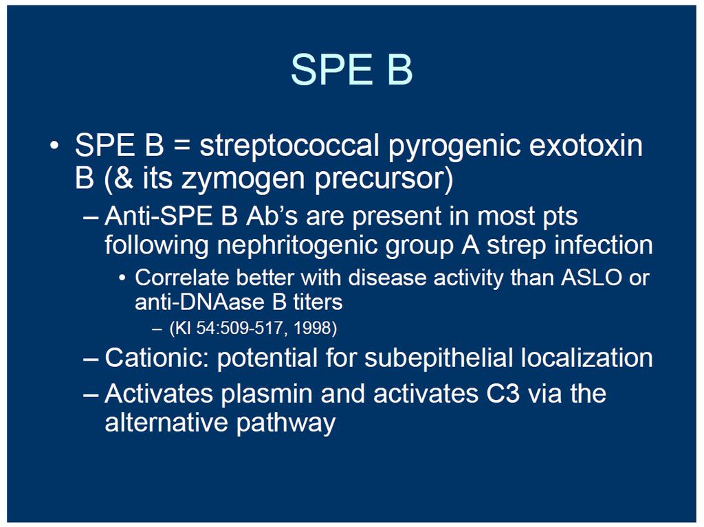 Exotoxinas pirogênicas estreptocócicas B - SPE-B Herlitz LC Renal Course Columbia
