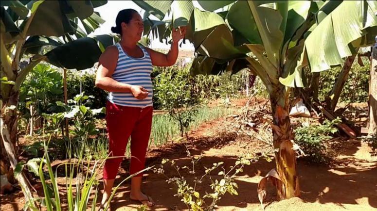 seleção utilizados foram: a participação das mulheres na área de produção coletiva do acampamento e cultivo em seus quintais.