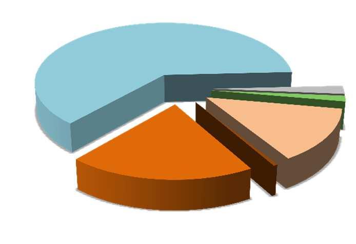 Rural; 4% Solo Urbano