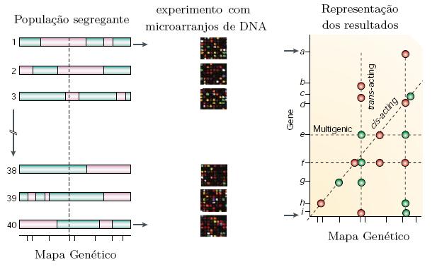 Exemplo: Jansen (2003) eqtl