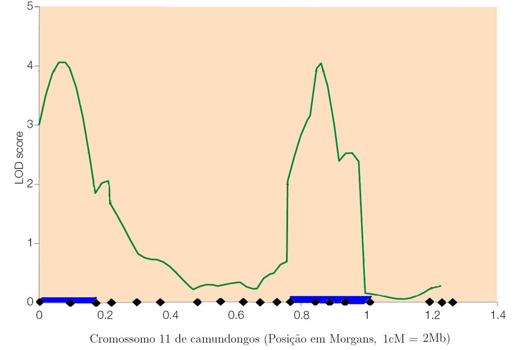 Mapeamento de QTL s: Adaptado de Doerge (2002) Mapeamento de QTL s