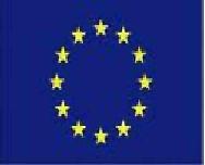 ANEXO II Modelo indicativo 1 da Carta de Direitos para as pessoas detidas com base num mandado de detenção europeu: Se for detido pela polícia com base num mandado de detenção europeu, tem o direito