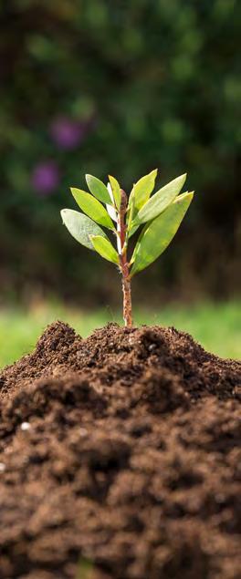 SUMÁRIO QUEM SOMOS...4 NOSSA VISÃO...5 POLÍTICA AMBIENTAL...6 AÇÕES SOCIAIS...7 NOSSA EQUIPE...8 NOSSAS CONQUISTAS...9 NOSSOS CLIENTES...10 O QUE OFERECEMOS...11 ÁREAS DE ATUAÇÃO...12 ESTUDO DE MERCADO.