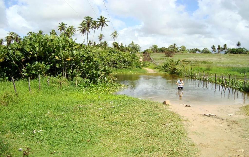 ESTAÇÃO DE MONITORAMENTO PI-14 Esta estação está situada no rio Pitimbu, na localidade de Passagem de Areia, em uma área bastante degradada, com presença constante de um lixão nas suas proximidades,