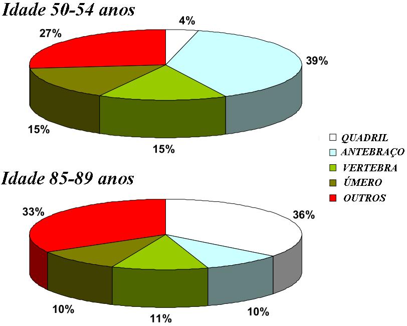 3 - REVISÃO DA LITERATURA osteoporose ao longo da vida (WHO, 2010), o que prejudica a qualidade de vida da pessoa, ocasionando um aumento da morbidade e mortalidade (PINHEIRO; EIS, 2010; GAUTHIER, et