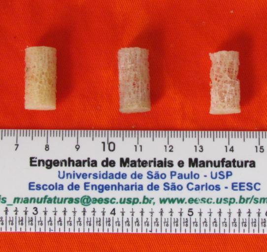 4 - CASUÍSTICA, MATERIAIS E MÉTODOS resina acrílica (protocolo no anexo 2) e polidas na superfície para ensaios mecânicos de nanoindentação (Figura 4.5.