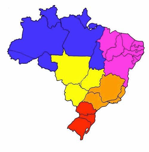 GRÃOS PROTEICOS- FEIJÃO 2,93 milhões de toneladas (3 lugar) Grupo I Phaseolus vulgaris (64%) Grupo II Vignia