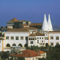 Produção de OAU no Concelho de Sintra Concelho de Sintra Área: 319,4 km 2 População: 363 740 hab.