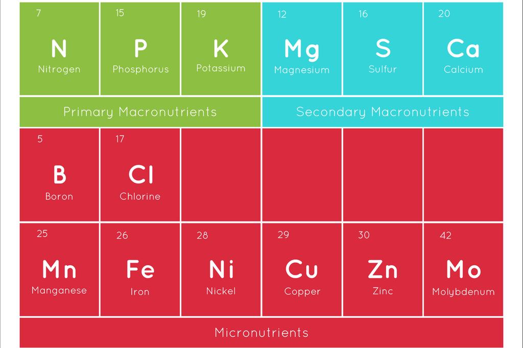 Tabela periódica das plantas Nitrogênio Fósforo Potássio Magnésio Enxofre Cálcio Macronutrientes primários Macronutrientes