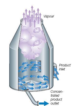 Fonte: Dairy