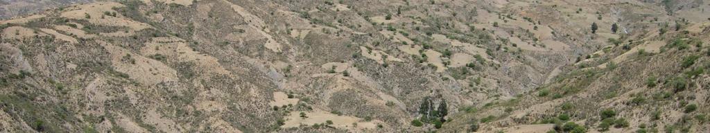 Andes: Geração de conhecimento de