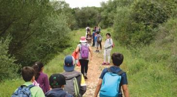 PRATIQUE EXERCÍCIO E NATAÇÃO NAS PISCINAS DE PALMELA E PINHAL NOVO FÉRIAS DESPORTIVAS VERÃO 2017 VERÃO 26 de junho a 28 de julho 9h00 às 17h30 O projeto