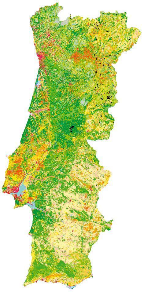 Objectivo principal foi a produção de cartografia de ocupação do solo para a Europa.