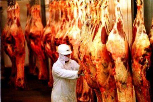 MAPA (Ministério da Agricultura Pecuária e Abastecimento) Inspeção dos alimentos exclusivamente de origem animal (carnes, leite, ovos,