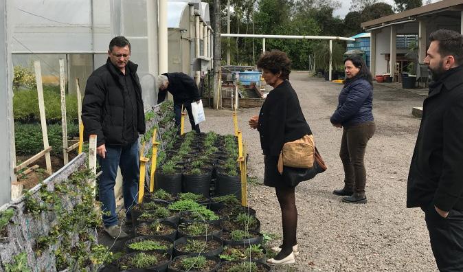 O diretor Valmir Aita e os professores do Colégio Politécnico Renato Trevisan e Maria Silvia Pardi Lacruz e o Professor Gustavo Brunetto, do CCR, acompanharam a pesquisadora nas dependências do