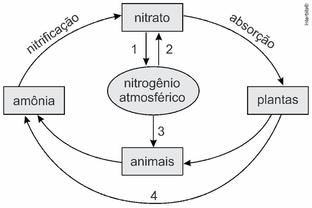 Nome: Nº 1EM Data: / / 2018 Thierry Professores: Danilo, Glauco, Soraia, Tales e Nota: FRENTE 1: 1. (Unicid - Medicina 2016) O esquema ilustra de forma simplificada o ciclo do nitrogênio.