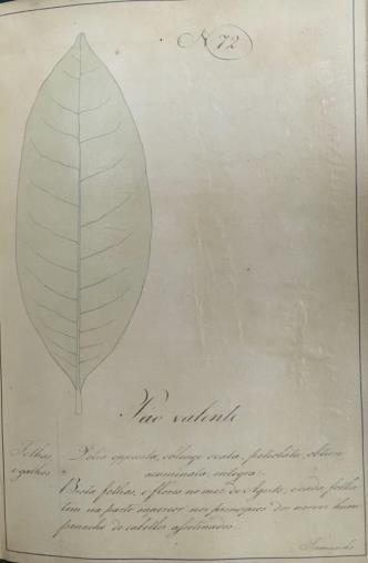 (1819).