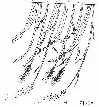 CICLO DAS RELAÇÕES